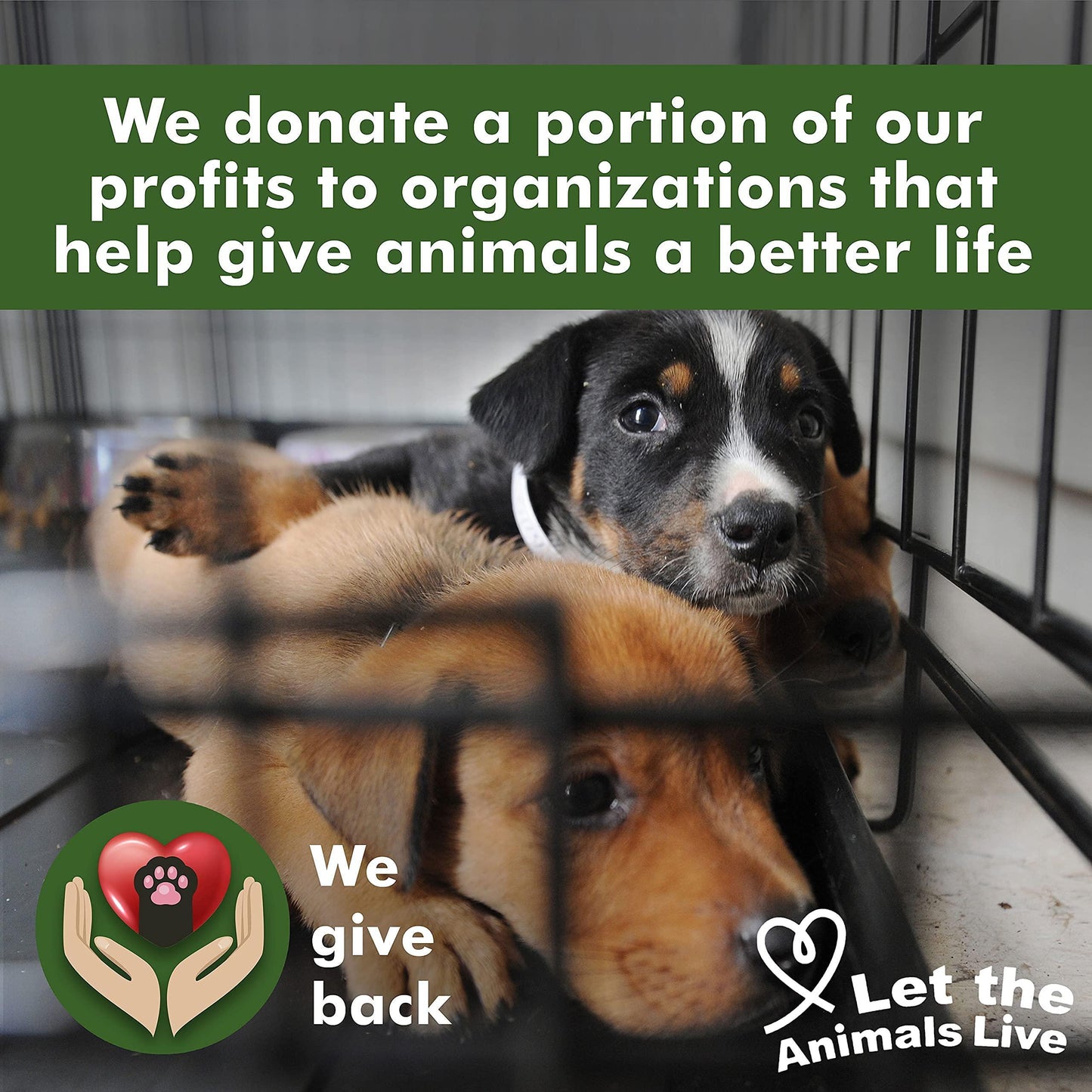 Ear Cleaner Wipes by Arava for Dogs Cats Puppies & Kittens 100